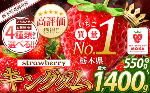 旬に発送♪ 人気超上昇！！ 選べる いちご 4種類 550g ～ 1400g | 苺 キングダム 日本一 訳あり 家庭用 大粒 秀品 とちおとめ  とちあいか 食べ比べ 数量 限定 ストロベリー 人気 果物 フルーツ 限定品種 送料無料 サイズ 小分け 真岡市 栃木県 