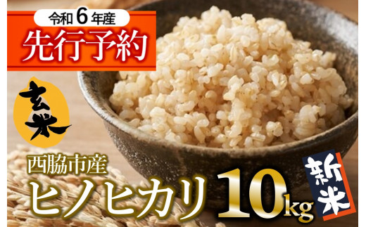 【先行予約】令和６年産 新米 ヒノヒカリ 玄米10kg（10kg×1袋）【11月上旬以降順次発送】(15-63)