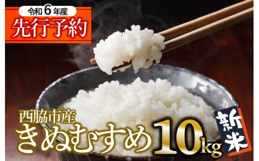 先行予約】【きぬむすめ】令和６年産 新米 白米10kg（10kg×1袋）【9月末以降順次発送】(17-50) 米 お米 こめ コメ きぬむすめ 人気  白米 即納 兵庫県産 精米 - 兵庫県西脇市｜ふるさとチョイス - ふるさと納税サイト