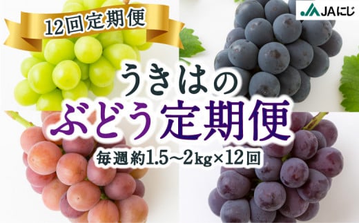 年3回定期便】「フルーツ王国！うきは」から 旬のフルーツ定期便 - 福岡県うきは市｜ふるさとチョイス - ふるさと納税サイト