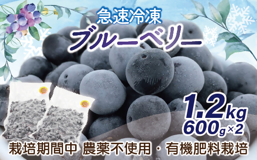 数量限定】お驚きの大きさ！大粒ブルーベリー(500g) 栽培期間中農薬不使用 有機栽培【えのさんのブルーベリー園】_HA1356 -  福岡県宗像市｜ふるさとチョイス - ふるさと納税サイト