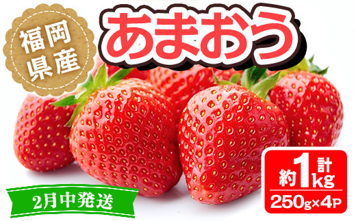 福岡県産 冷凍苺 あまおう ジャム用 15kg - 果物