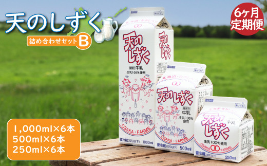ykCWÒzyցFS6zV̂@lߍ킹Zbga(1000ml×6{E500ml×6{E250ml×6{,v10.5L)y51004z
