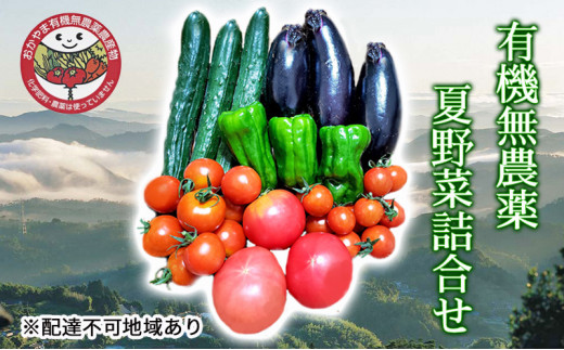 yRsz[5615-0554]2026N t Ė lߍ킹  L@_ _Y  Zbg