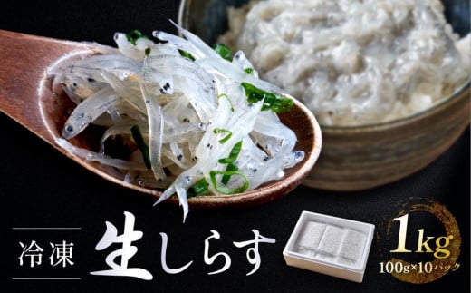 冷凍生しらす 1kg（100g × 10）静岡県御前崎産 生しらす丼 10杯分 小分け 個包装 便利 大容量 徳用 海鮮丼 使いやすい食べきりサイズ  どんぶり 刺身 おつまみ おかず 惣菜 晩ごはん - 静岡県御前崎市｜ふるさとチョイス - ふるさと納税サイト