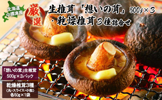 想いの茸」生椎茸と乾燥椎茸詰め合わせ 生椎茸500g×3P 乾燥椎茸50g×1袋