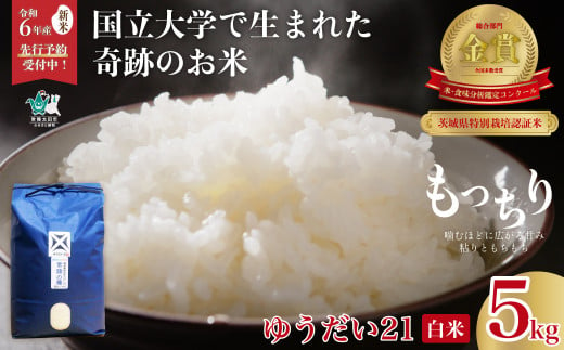 新米先行予約 令和6年産】 黄門米 コシヒカリ 白米 10kg 【9月下旬以降発送】 黄門米 コシヒカリ 白米 10kg 令和6年産 新米 茨城県産  常陸太田市 コシヒカリ こしひかり 10kg 10キロ 米 こめ コメ お米 白米 精米 お取り寄せ 贈答 人気 ランキング ごはん 贈り物 10キロ