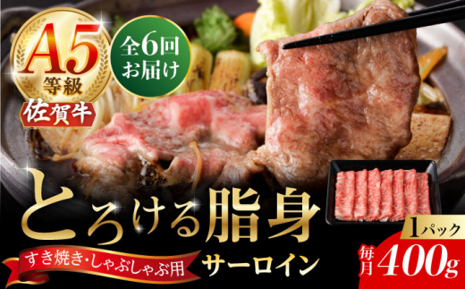 yꌧYszy6ցzA5 ꋍ T[CXCX 400gi400g×1pbNj/i`t[Y [UBH111]