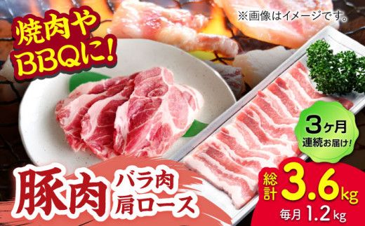 yF{Rszy3ցzؓ ēpioE[Xj1.2kgi300g×4pcjygz [ZEW096]