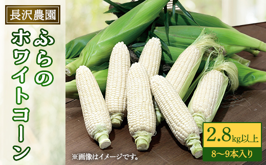 ykCxǖszxǖ zCgR[ 2.8s(8`9{)XC[gR[@Ƃ낵y1265608z