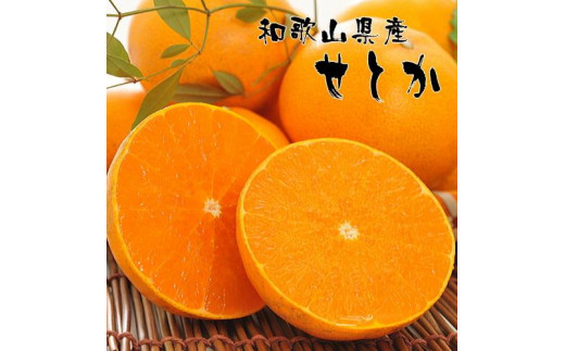 ya̎RCsza̎RLc̔ZƂiƒpj 4`5kg ms\n |  t[c ʎ ʕ Lc ݂ a̎R@mMS81n