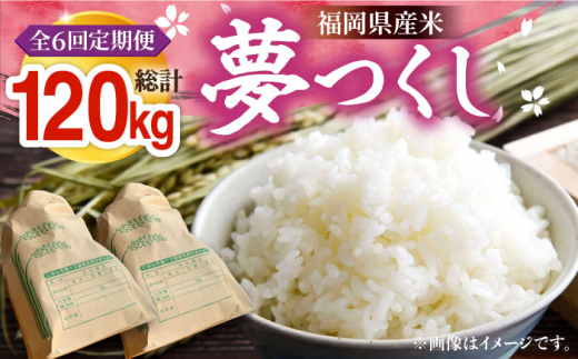 yLOszyR7NYVāzyS6ցzY  20kg (10kg×2)sLOstyz_z   [VBC015]