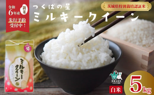 新米先行予約 令和6年産】 黄門米 コシヒカリ 白米 10kg 【9月下旬以降発送】 黄門米 コシヒカリ 白米 10kg 令和6年産 新米 茨城県産  常陸太田市 コシヒカリ こしひかり 10kg 10キロ 米 こめ コメ お米 白米 精米 お取り寄せ 贈答 人気 ランキング ごはん 贈り物 10キロ