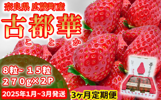 数量限定】【先行予約】【3か月定期便】苺のごほうび【古都華】270g×2 