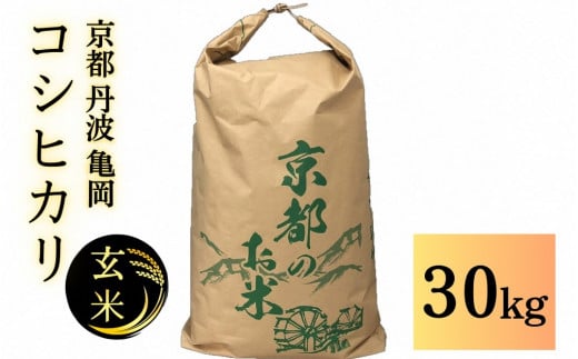 【令和6年産先行予約】米 コシヒカリ 玄米 30kg〈アグリにのうみ〉京都・亀岡産◇ ※北海道・沖縄・離島への配送不可  ※2024年11月中に順次発送予定《令和6年産 低農薬米 減農薬米》