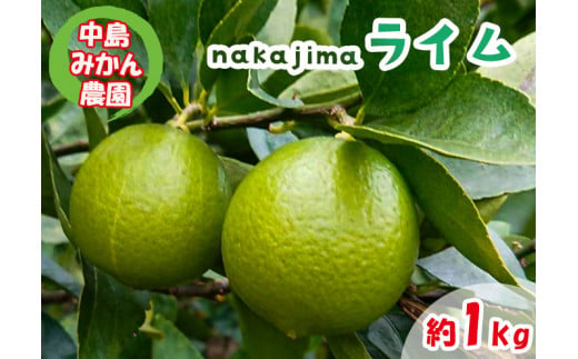 【ふるさと納税】 【2024年10月から発送】ライム 1kg 中島みかん農園｜柑橘 果汁酸味 果物 くだもの 果実 国産 フルーツ 有名 愛媛 松山  瀬戸内 ビタミン 美味しい 生産者 直送 産直 無添加 ライムサワー ジュース チューハイ - 愛媛県松山市｜ふるさとチョイス ...