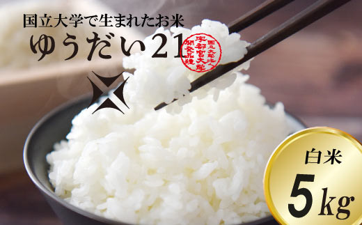 数量限定】あい farm やなぎのお米令和６年産ゆうだい21白米5Kg（DQ005） - 栃木県益子町｜ふるさとチョイス - ふるさと納税サイト