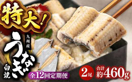 全12回定期便 鹿児島産うなぎ 白焼2尾セット▽国産 鰻 ウナギ 白焼き  