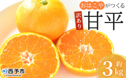 yQ\sz󂠂 ͂₪ Õ 3kg PA ƒp ʕ  ʎ t[c k ؂ JyC ݂ ~J  Yi Fa Q \s y퉷