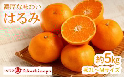 2025年12月から発送】紅まどんな 約2.7kg 青秀 L ~ 3Lサイズ