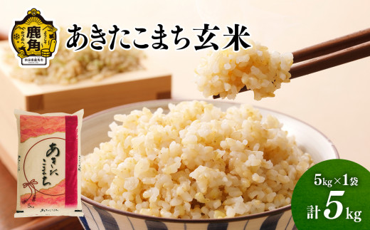 令和5年産 あきたこまち 古米 20kg 玄米 あきたこまち 20kg R5年 玄米C