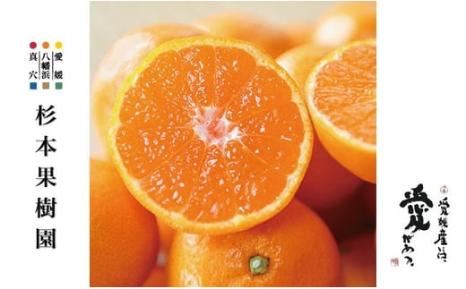 yQlsz2025N12ȍ~qIr^A{ʎ݂(ʉB)5kgD34-24_ ݂ ~J k t[c  ʕ ӂ[  ʎ Â W[V[