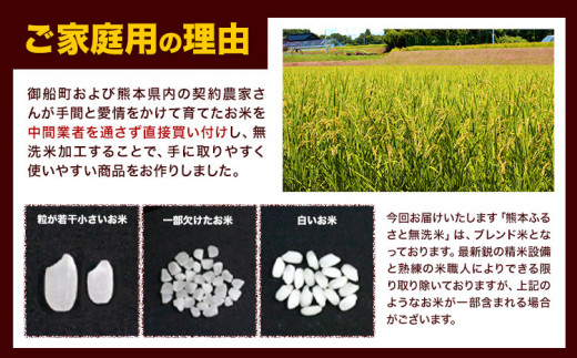 ふるさと無洗米 15kg 熊本県産 無洗米 訳あり 家庭用 熊本ふるさと 無洗 米 15kg 無洗米 米