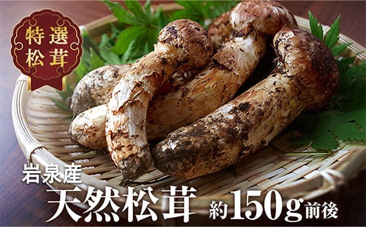 ＜2024年9月中旬～10月中旬発送予定＞松茸マイスター厳選!旬の岩泉産松茸 150g(前後)【1516080】 - 岩手県岩泉町｜ふるさとチョイス  - ふるさと納税サイト