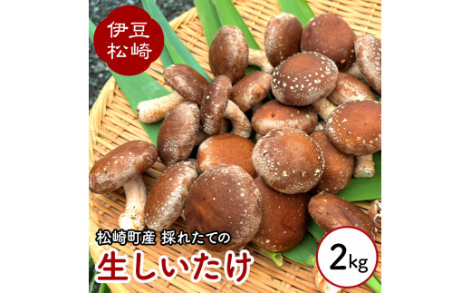 sd1_160e5a291f511e320b7eaa7b8c