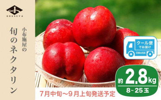 摘果マンゴー　加工用　17キロ 摘果マンゴー17キロ