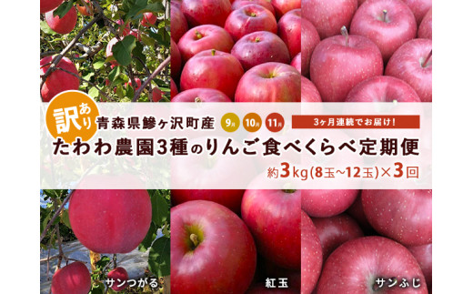 りんご 定期便 3ヶ月 青森 訳あり リンゴ 3種 サンつがる 紅玉 サン