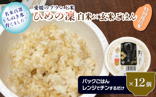 訳あり】 愛媛のブランド米 「ひめの凜」 白米×玄米 パックごはん 160g×12個 ※賞味期限 2025年2月4日まで 特別栽培米 減農薬 ひめの凜  パック 玄米 レンジでチン 鍋屋ファーム 訳あり - 愛媛県西条市｜ふるさとチョイス - ふるさと納税サイト