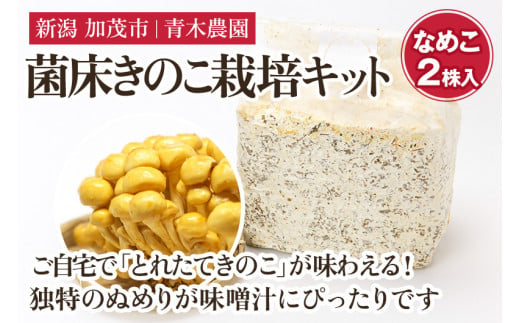 【2024年先行予約】菌床きのこ栽培キット なめこ 1株入り《10月上旬から順次発送》栽培キット 自家栽培 きのこ なめこ 栽培 初心者でも簡単 自宅  菌床 加茂市 青木農園 - 新潟県加茂市｜ふるさとチョイス - ふるさと納税サイト