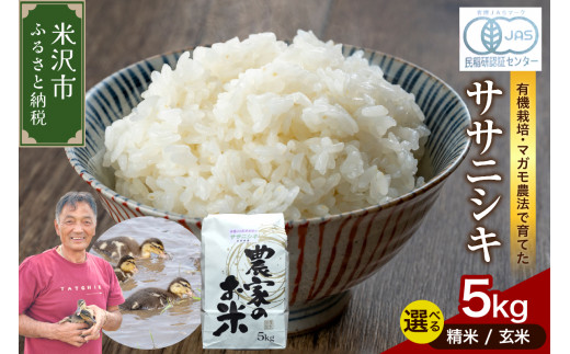 玄米 令和6年産米 秋田県産 あきたこまち 特別栽培米 10kg 農薬8