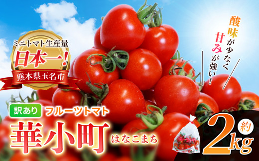 ごん超訳ありフルーツトマト　kg【栽培終了近しセール！】 トマト 高糖度 【2026年収穫分先行予約】【 訳あり 】大島 トマト