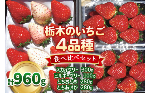 栃木のいちご4品種 食べ比べセット|とちあいか とちおとめ 栃木のいちご4品種 食べ比べセット|とちあいか とちおとめ