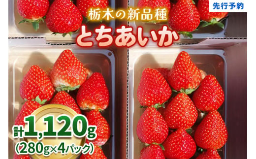 幸せを呼ぶハート型 栃木の新品種《とちあいか》280g×4P《12月より順次出荷》｜いちご 苺 イチゴ フルーツ 果物 産地直送 [0564] -  栃木県矢板市｜ふるさとチョイス - ふるさと納税サイト