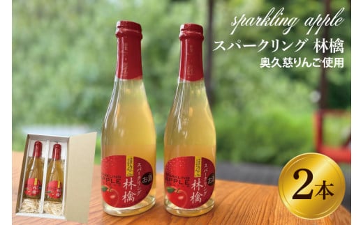 スパークリング 林檎 375ml (箱入り)× 2本 セット 果汁50％ ふじりんご100％使用(BJ002) - 茨城県大子町｜ふるさとチョイス -  ふるさと納税サイト