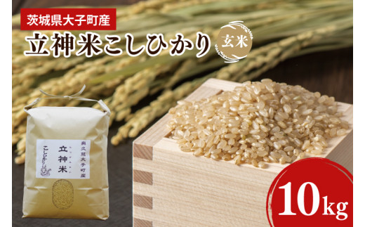 米コシヒカリ10kg コシヒカリ 米 10kg 鹿児島産 お米 10キロ 令和7年産 玄米 白米 7分