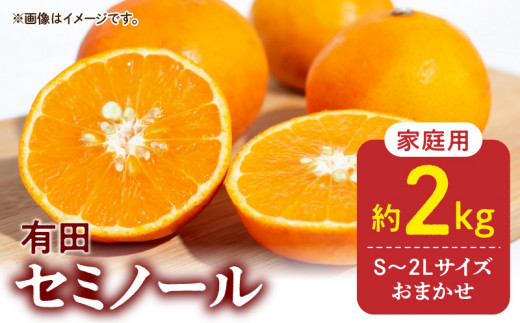 ya̎R󒬁zDZ6101_yӂ邳Ɣ[Łzy2026Ns\zƒp Z~m[ a̎R Lc S`2LTCY 傫C 2kg
