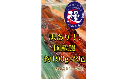 y{aszq󂪂Ă낵ł傤?r󂠂荑YȂĂ×2y1525136z