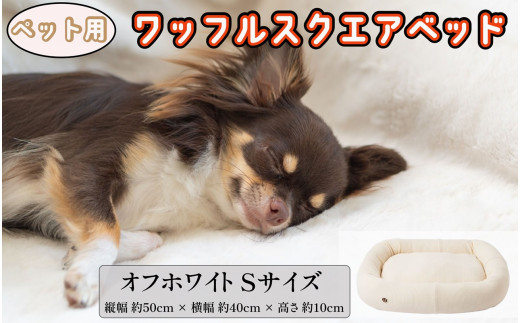 ペットベッド Sサイズ 犬用 オフホワイト オーガニックコットン 接結 2