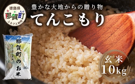 令和6年産 新米 先行受付」 那賀町相生産 てんこもり 玄米 10kg 1袋 「2024年10月上旬より発送」 【徳島 那賀 国産 徳島県産 特A  ブランド米 お米 こめ おこめ 米 ご飯 ごはん 玄米 10キロ 和食 おにぎり お弁当 玄米 おいしい 食べて応援 お取り寄せ 産地直送】YS-41  -