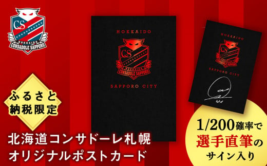 ふるさと納税限定 北海道コンサドーレ札幌 ポストカード 【1/200の確率で選手直筆のサイン入り】 - 北海道札幌市｜ふるさとチョイス -  ふるさと納税サイト