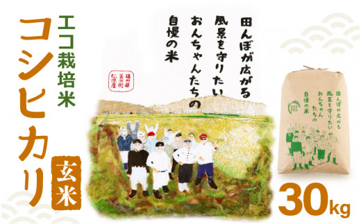 先行予約】【令和7年産・新米】コシヒカリ（玄米）エコ栽培米 30kg