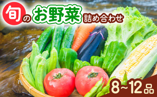 阿波の国海陽町 旬のお野菜詰め合わせセット 8～12品 野菜 徳島県 海陽