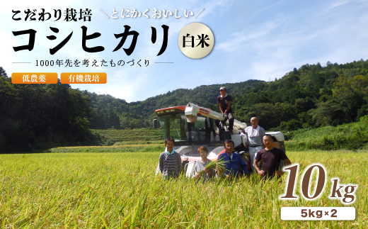 令和7年度産】 京都府産 低農薬 有機栽培コシヒカリ10kg【 米 10キロ 