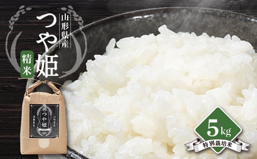 yR`쐼zߘa7NYs\񁄎R`쐼Y@P@ 5kg_   V  lC   R` 쐼y1462395z