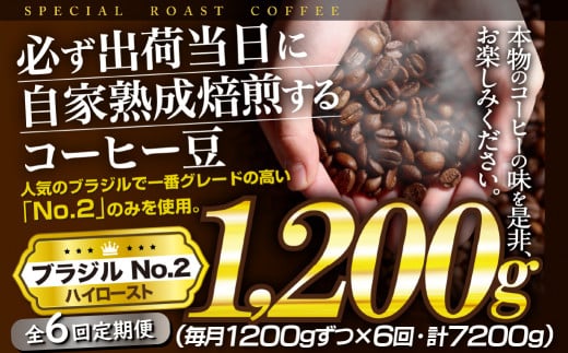 y茧ێszE430z y6ցzKoדɎƏnuWNo.2(1,200g)ySASEBO Coffee TOMINAGAz lC VN ҂ R[q[ {i e