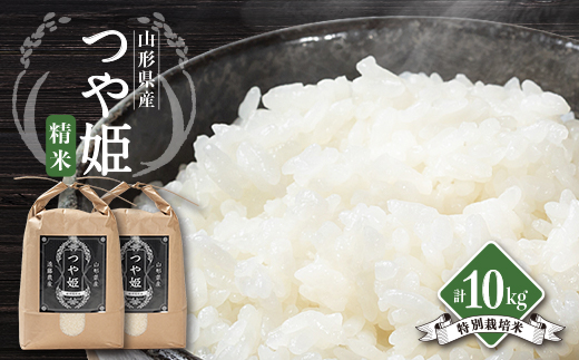 yR`쐼zߘa7NYs\񁄎R`쐼Y@P@ā@10kg_   V  lC   R` 쐼y1462402z